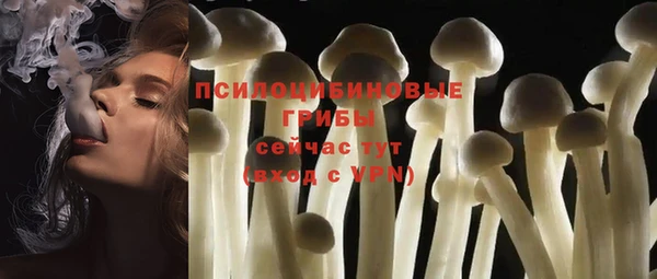 мдпв Пролетарск
